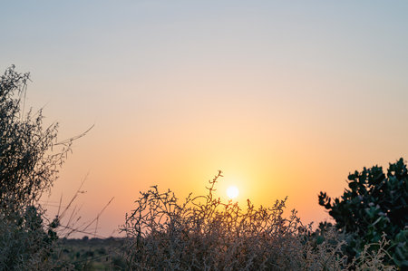 Sun rising at the horizon of Thar desert, Rajasthan, India. Tourists from across India visits to watch desert sun rise at Thar desert.の写真素材