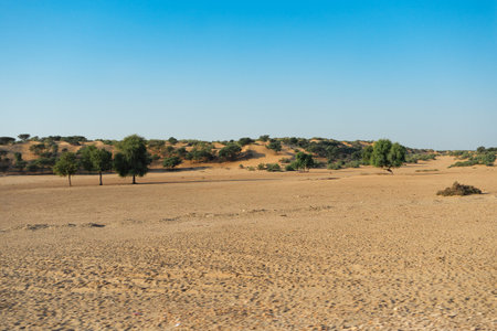 Ranautar, remote desert village inside the desert. Distant horizon, Hot summer with cloudless clear blue sky background, Thar desert, Rajasthan, India.の写真素材