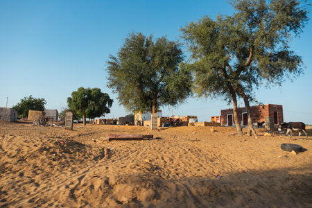 Ranautar, remote desert village inside the desert. Distant horizon, Hot summer with cloudless clear blue sky background, Thar desert, Rajasthan, India.の写真素材