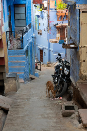 Jodhpur, Rajasthan, India - October 21st, 2019 : Traditional colorful houses. Blue is symbolic for Hindu Brahmins, being upper caste.のeditorial素材
