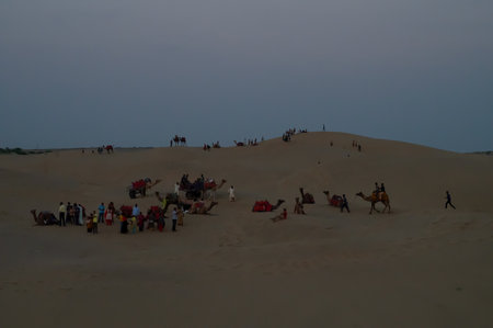 Tourists riding camels, Camelus dromedarius, at sand dunes of Thar desert. Camel riding is a favourite activity amongst all tourists visiting here,のeditorial素材