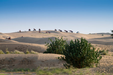 Thar desert. Barren land , sand dunes of Jaisalmer, Rajasthan, India.の写真素材