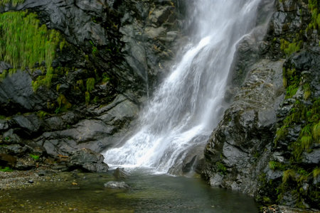 Naga falls is a beautiful waterfall situated near Lachung in North Sikkim, India. Situated on Gangtok-Chungthang road, it is one of the waterfalls in Sikkim and among the must visit places in Lachung.の写真素材