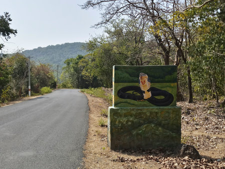 Dandeli, Karnataka, India 18th May 2019 : A king cobra snake, Ophiophagus hannah, on the sign board at Karnataka tiger reserve. The road goes through deep forest of the famous tiger reserve.のeditorial素材