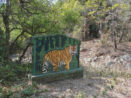 Dandeli, Karnataka, India 18th May 2019 : A tiger, Panthera tigris, on the sign board at Karnataka tiger reserve. The road goes through deep forest of the famous tiger reserve. Shot at forest.のeditorial素材