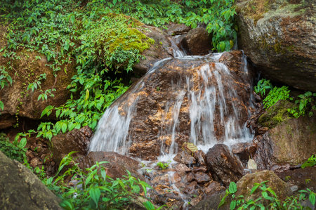 Water flowing downstraem, beautiful waterfall inside Himalayan forest, Sikkim, India. Sikkim has many scenic waterfalls flowing across the state and these falls are very popular tourist attraction.の写真素材