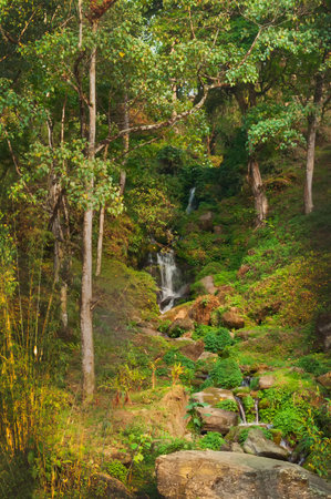 Beautiful waterfall inside Himalayan forest, Sikkim, India. Sikkim has many scenic waterfalls flowing across the state and these falls are very popular tourist attraction.の写真素材