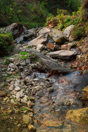 Water flowing downstraem, beautiful waterfall inside Himalayan forest, Sikkim, India. Sikkim has many scenic waterfalls flowing across the state and these falls are very popular tourist attraction.の写真素材