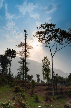 Sun set behind trees and Himalayan mountains in the background with colorful sky and nice clouds, Sikkim, India. Sikkim is a place known for it's natural beauty for great mounatins of Himalayas.の写真素材