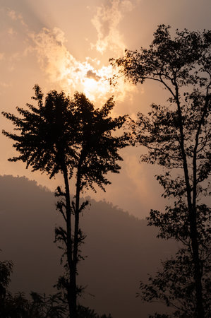 Sun set behind trees and Himalayan mountains in the background with colorful sky and nice clouds, Sikkim, India. Sikkim is a place known for it's natural beauty for great mounatins of Himalayas.の写真素材