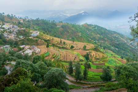 Step agriculture, or terrace agriculture. Steep hills or mountainsides are cut to form level areas for planting of crops. Foggy, misty Himalayan mountains background, Garhwal, Uttarakhand, India.の写真素材