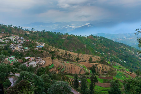 Step agriculture, or terrace agriculture. Steep hills or mountainsides are cut to form level areas...