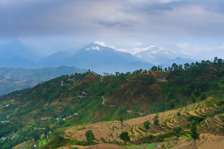 Step agriculture, or terrace agriculture. Steep hills or mountainsides are cut to form level areas for planting of crops. Foggy, misty Himalayan mountains background, Garhwal, Uttarakhand, India.の写真素材