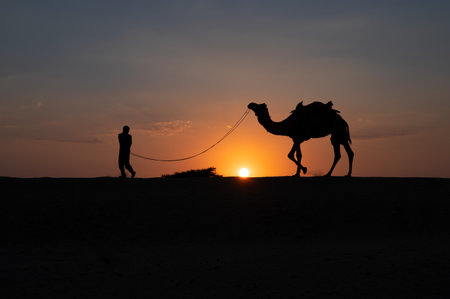 Silhouette of a young cameleer leading a camel into sand dunes. Setting sun with blue sky in the background.のeditorial素材
