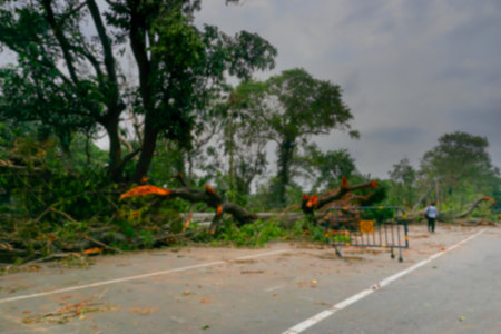Blurred image of Super cyclone Amphan uprooted tree which fell and blocked road partially. The devastation has made many trees fall on ground.の写真素材