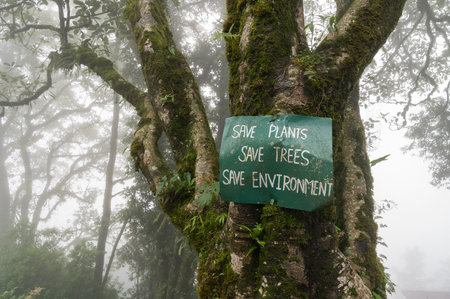 Lush green moss growth on old tree beside a path covered in fog at Mahakal Temple or Mahakal Mandir. Sign board on tree for save plants, save trees, save environment. Darjeeling, West Bengal, India.の写真素材