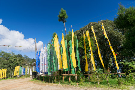Beautiful way to Okhrey Monastery at Okhrey village, colourful Buddhist prayer flags waving on the...