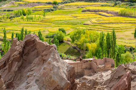 Green agricultural land at Basgo or Bazgoo, a village situated on the bank of the Indus river in Leh district, Ladakh, India. Basgo Monastery and historical ruins with Himalayan mountains.の写真素材