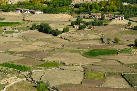 Green agricultural land amongst barren mountains of Leh, Ladakh - image shot from Changla pass. Leh,...
