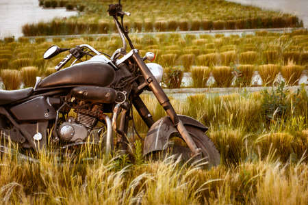 an old black motorcycle parked outside in some green grassの写真素材