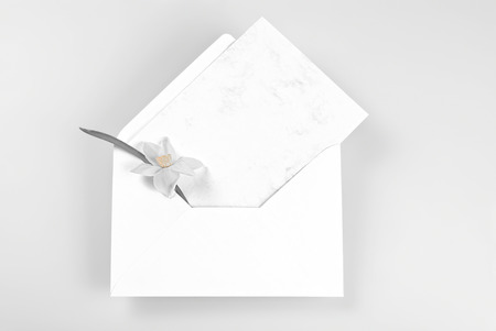 Blank greeting card and envelope decorated with narcissus flower