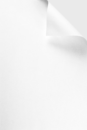 Blank sheet of paper or letterhead with curled cornerの写真素材