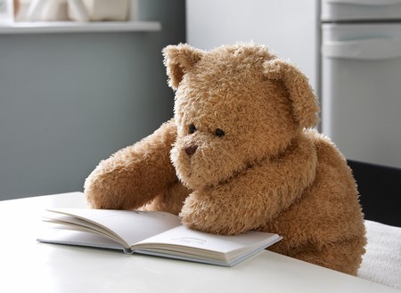 Teddy bear reads a bookの写真素材