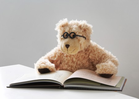 Teddy bear with glasses reads a bookの写真素材