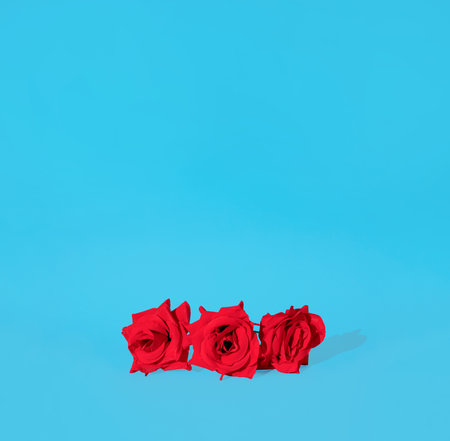 Three red roses against pastel cyan background. Square composition with copy space, minimal love and spring beauty conceptの写真素材