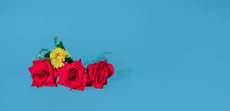 Red roses and yellow spring flower against pastel gray blue background. Banner composition with copy space, minimal decorative love and spring beauty conceptの写真素材