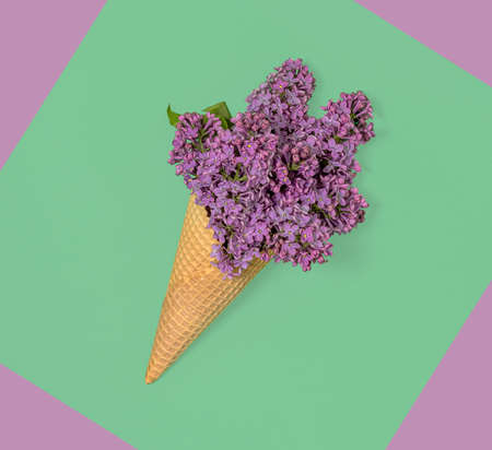 Purple llilac in ice cream cone. Minimal flat lay square composition on pastel green and purple...