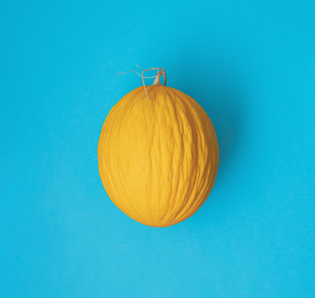 Yellow honey melon  on blue background. Flat lay square composition, healthy food conceptの写真素材