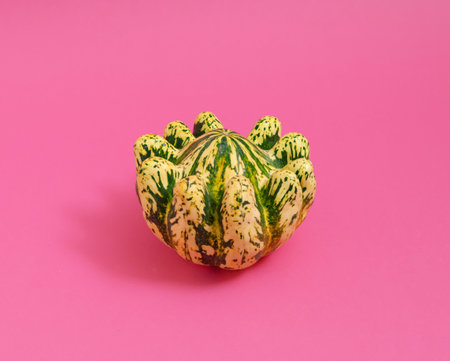 Pumpkin on pink background. Minimal horizontal composition, autumn beauty celebration conceptの写真素材
