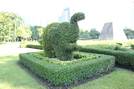 dwarf look like elephant in the park  の写真素材
