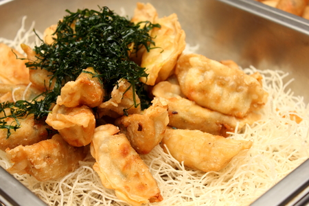 A Deep fried gyoza on Rice Krispiesの写真素材