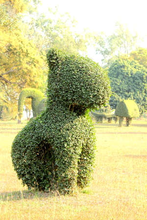 The shape nature leaf animals trees bending の写真素材