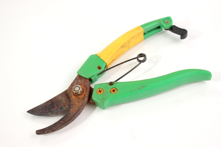 trimming Scissors
の写真素材