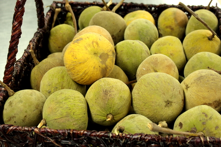 Krathon is a tropical fruit that has thick shell 
の写真素材