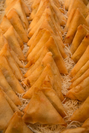 Fried Gyoza cooked up on white plateの写真素材