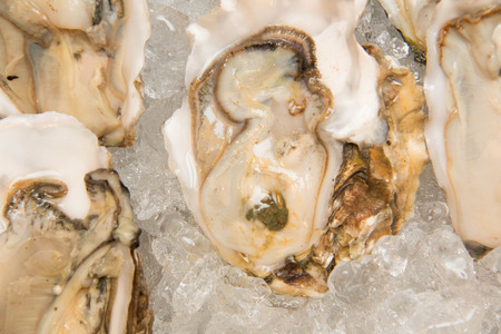 Fresh half-shell oyster on ice in  restaurantの写真素材