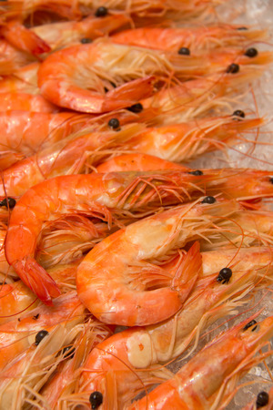 Boiled shrimp on ice for a partyの写真素材