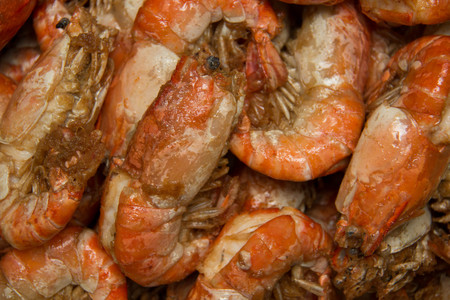 fried Shrimp  with olive oil made in the grill.の写真素材