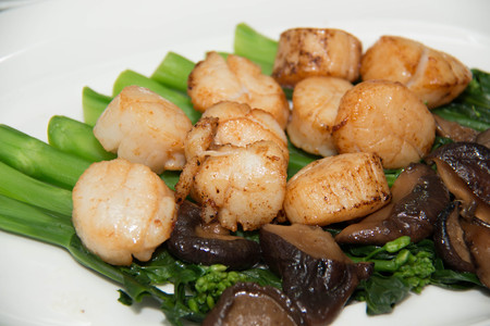 Studio closeup of seared scallops, garnished with vegetables presented on a scallop shell.の写真素材
