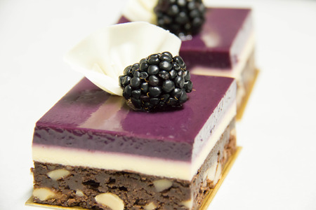 Blackberry mini cake with chocolate brownie and berriesの写真素材