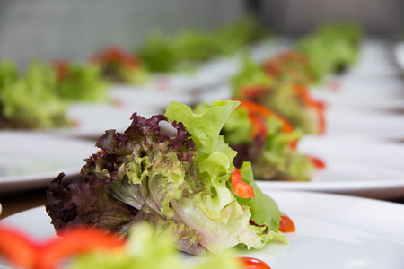 A healthy vegetable salad  pepper lettuce , backgroundの写真素材