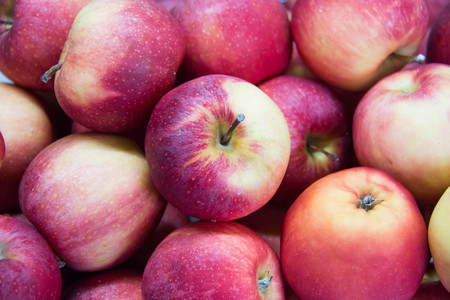 Red Apples Fresh Fruit As a Whole Background