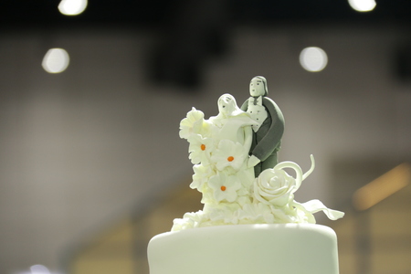 couple doll on wedding cake indoor weddingの写真素材