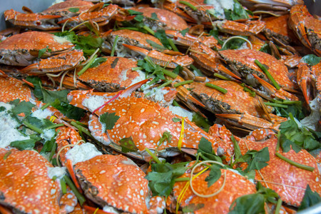 A Steamed crab on dish ready to eatの写真素材