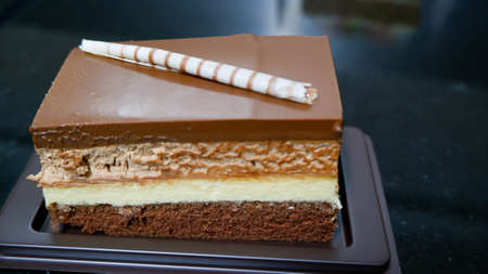A chocolate cheese cake dessertの写真素材