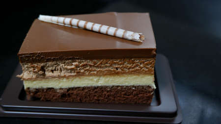 A chocolate cheese cake dessertの写真素材